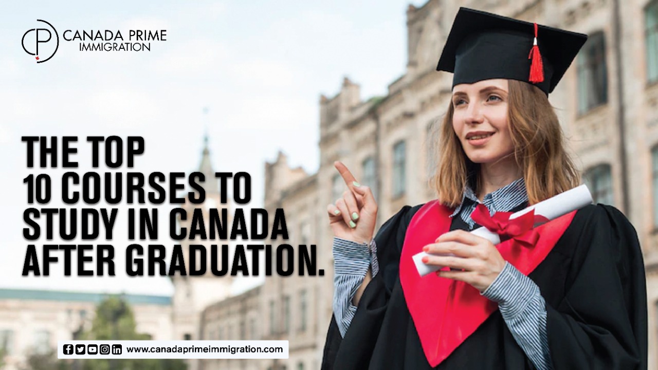 The Top 10 Courses to Study in Canada after Graduation