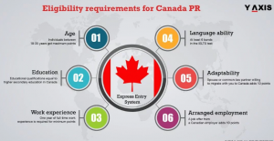 Some Essential Requirements for a Visa